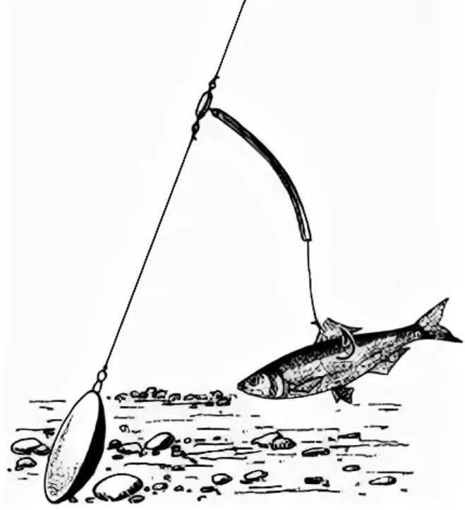 Ловля судака на мертвую рыбку и ее кусочки