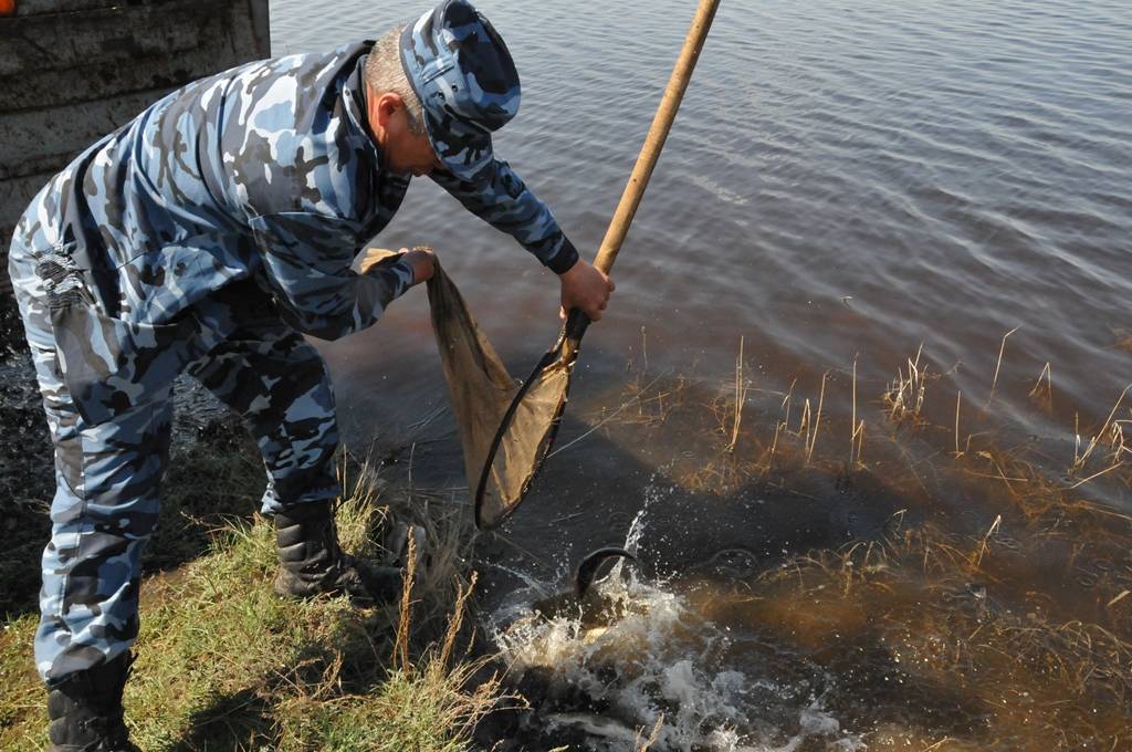 Рыбалка в Карагандинской области