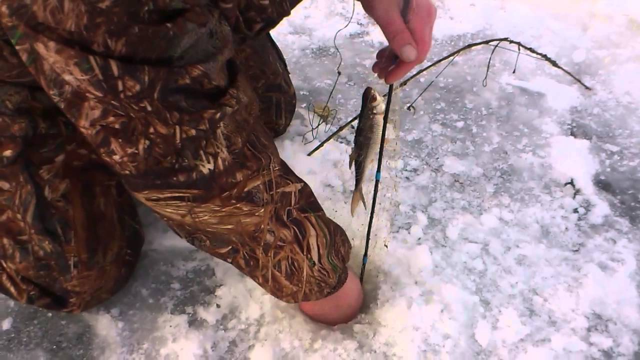 Основные приемы ловли рыбы на косынку зимой