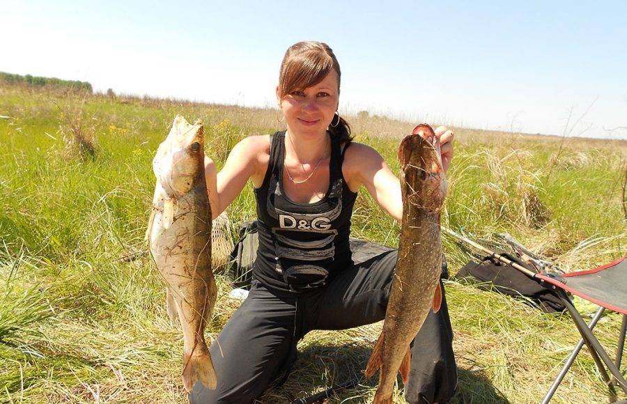 Рыбалка в ростовской области в 2022 году и ростове-на-дону сегодня - запрет, базы отдыха, платная рыбалка