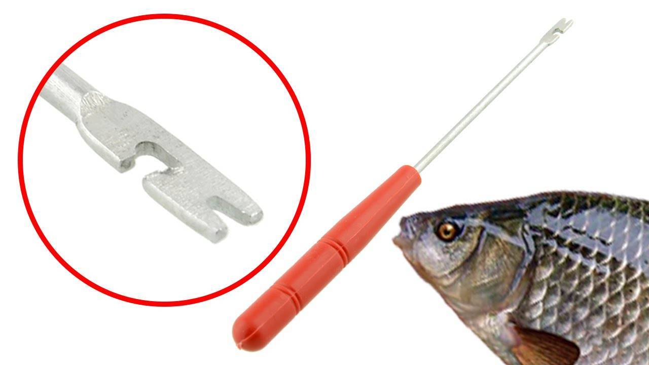 Простой экстрактор для рыбы своими руками: 3 варианта » изобретения и самоделки