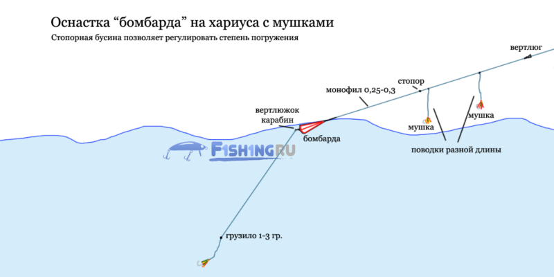 Бомбарда для морской рыбалки с берега - детальный обзор