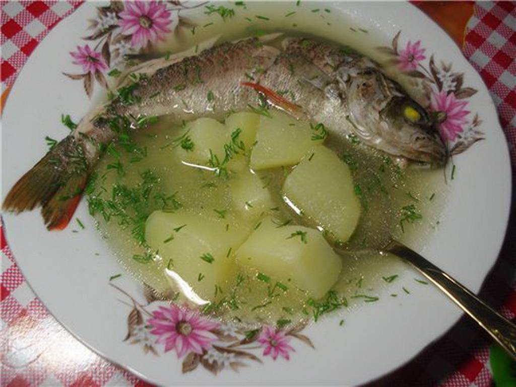 Как варить рыбу правильно? кулинарные советы :: syl.ru