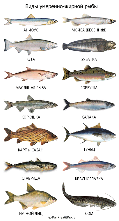 Нежирная рыба — список всех сортов для диетического питания