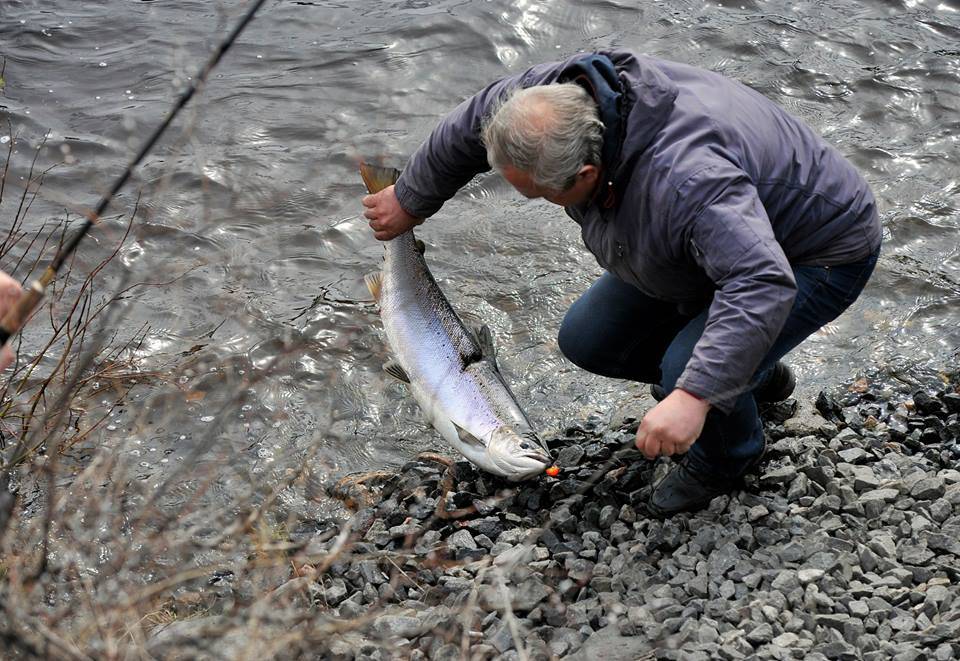 Рыбалка в Мурманске и Мурманской области