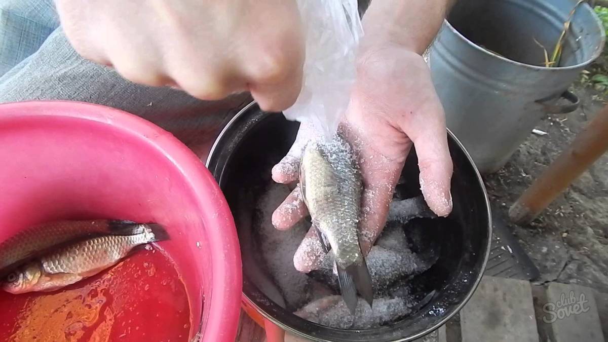 Чистка рыбы без грязи в домашних условиях