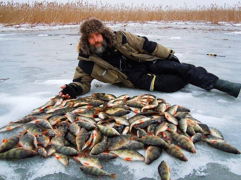 Какая рыбалка во владивостоке сегодня?