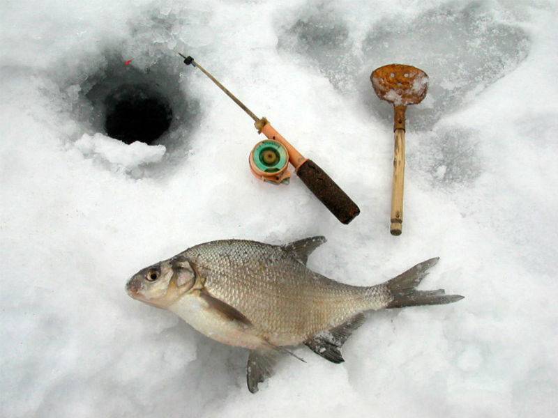 Особенности рыбалки в декабре