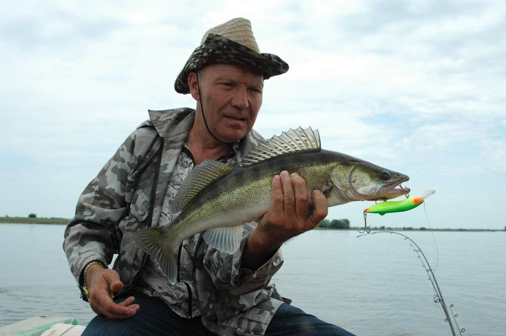 ᐉ дон - место для рыбака - ✅ ribalka-snasti.ru