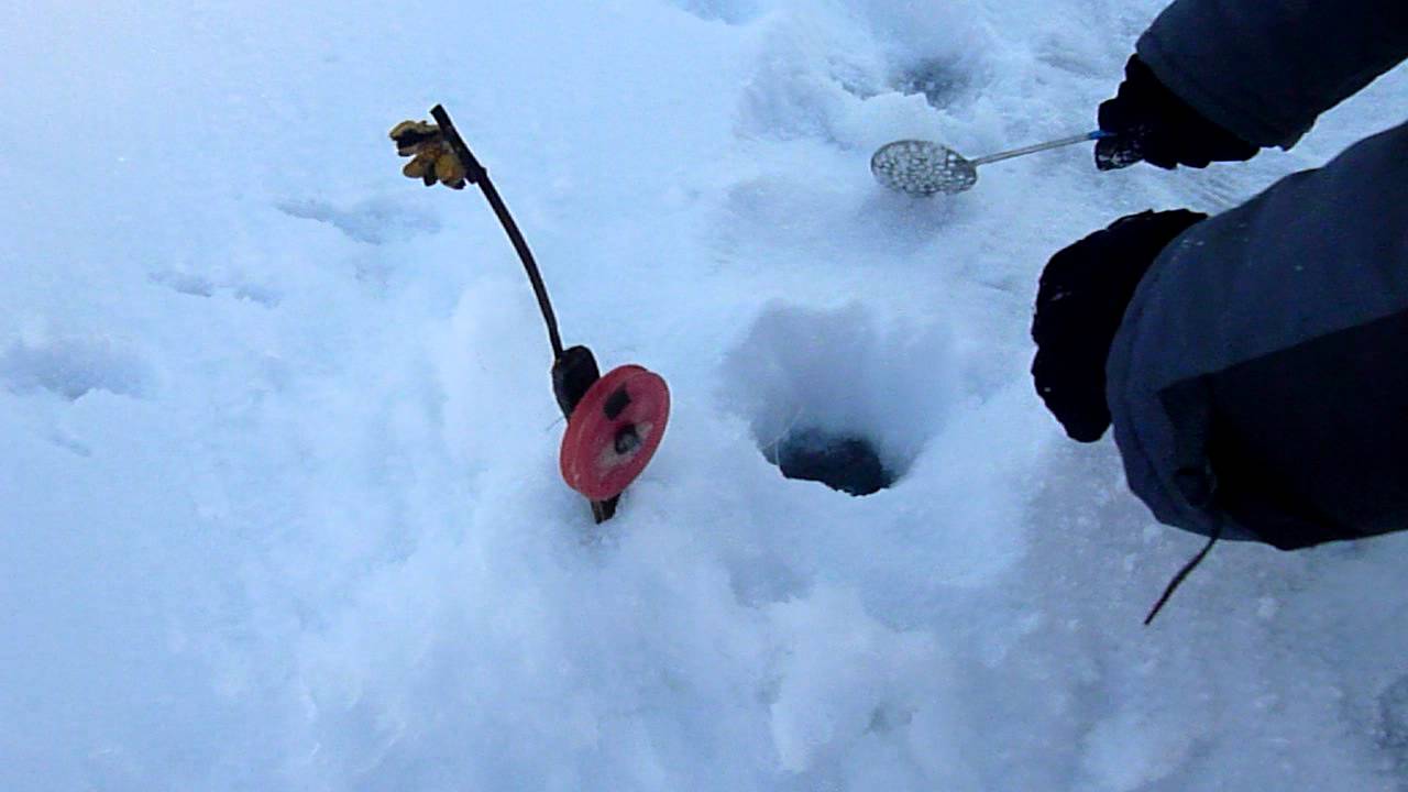 Ловля налима зимой при помощи жерлиц и стукалок