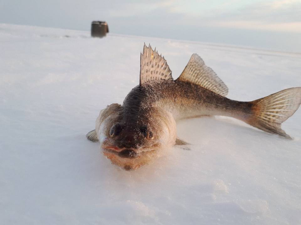 Рыбалка в кировской области