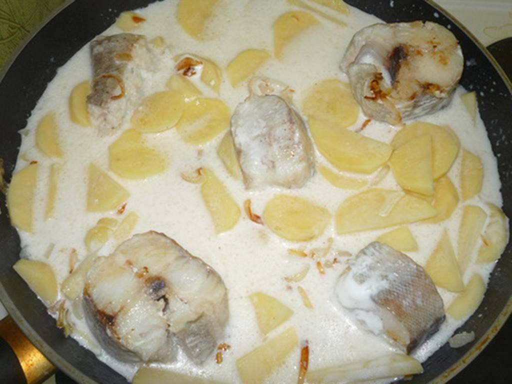 Рыбные тефтели в сметанном соусе - 12 пошаговых фото в рецепте