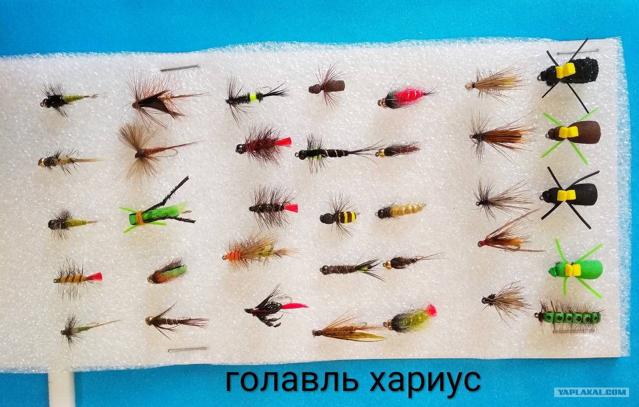 ᐉ мушки для ловли хариуса: особенности выбора - ✅ ribalka-snasti.ru