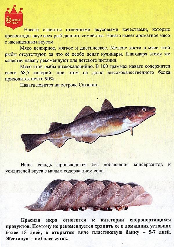 Диетическая рыба: список