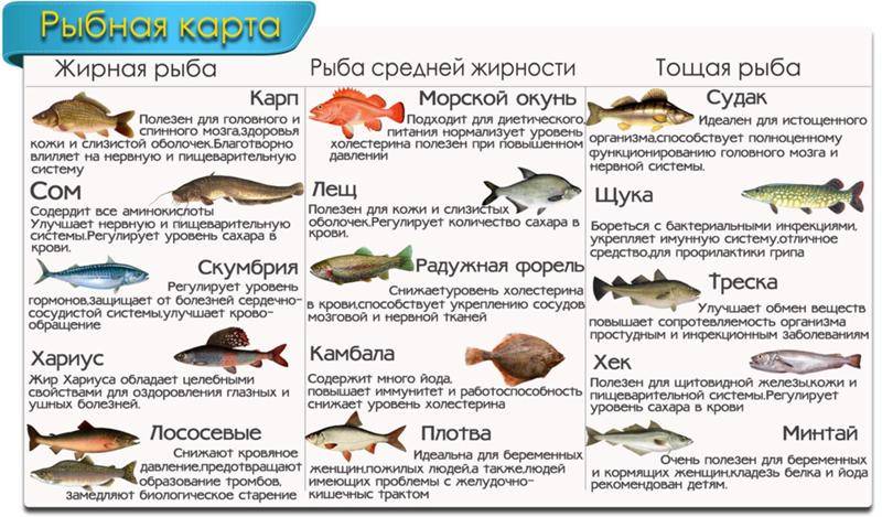 Жирные сорта рыбы: список, польза для здоровья