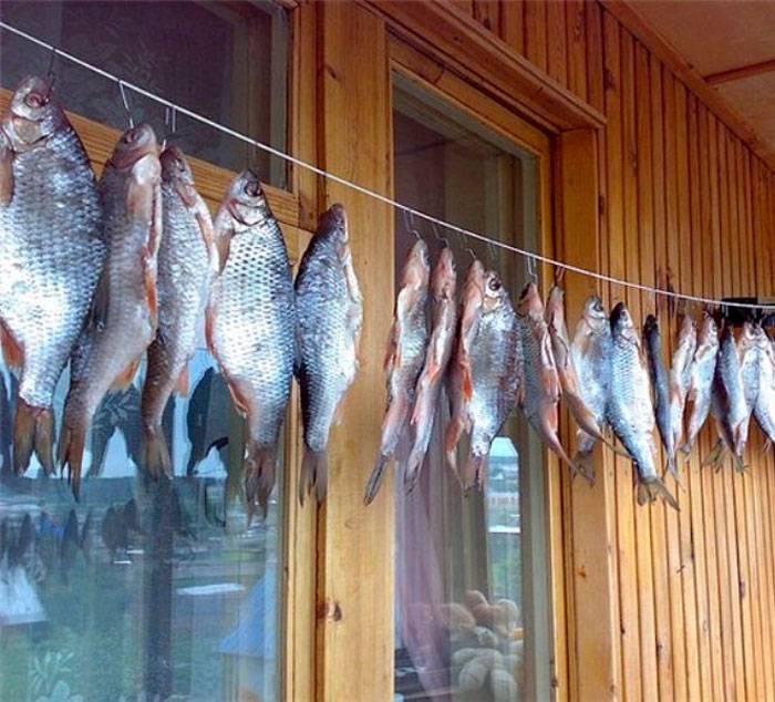 Все секреты правильной засолки и вяления рыбы в домашних условиях