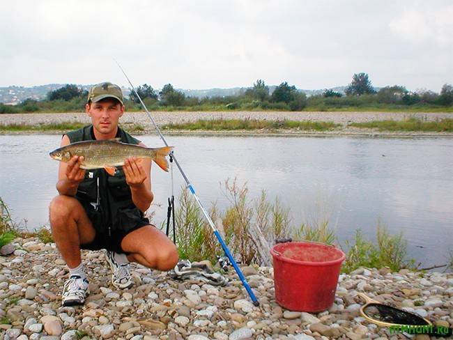 Ловля судака на джиг на канале имени москвы – все о рыбалке