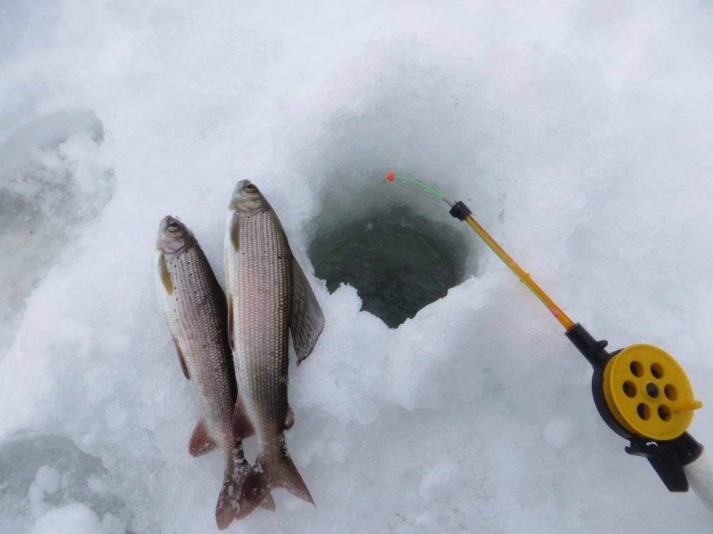 Рыбалка в глухозимье: принципы ловли, снасти и их описание, секреты по увеличению улова