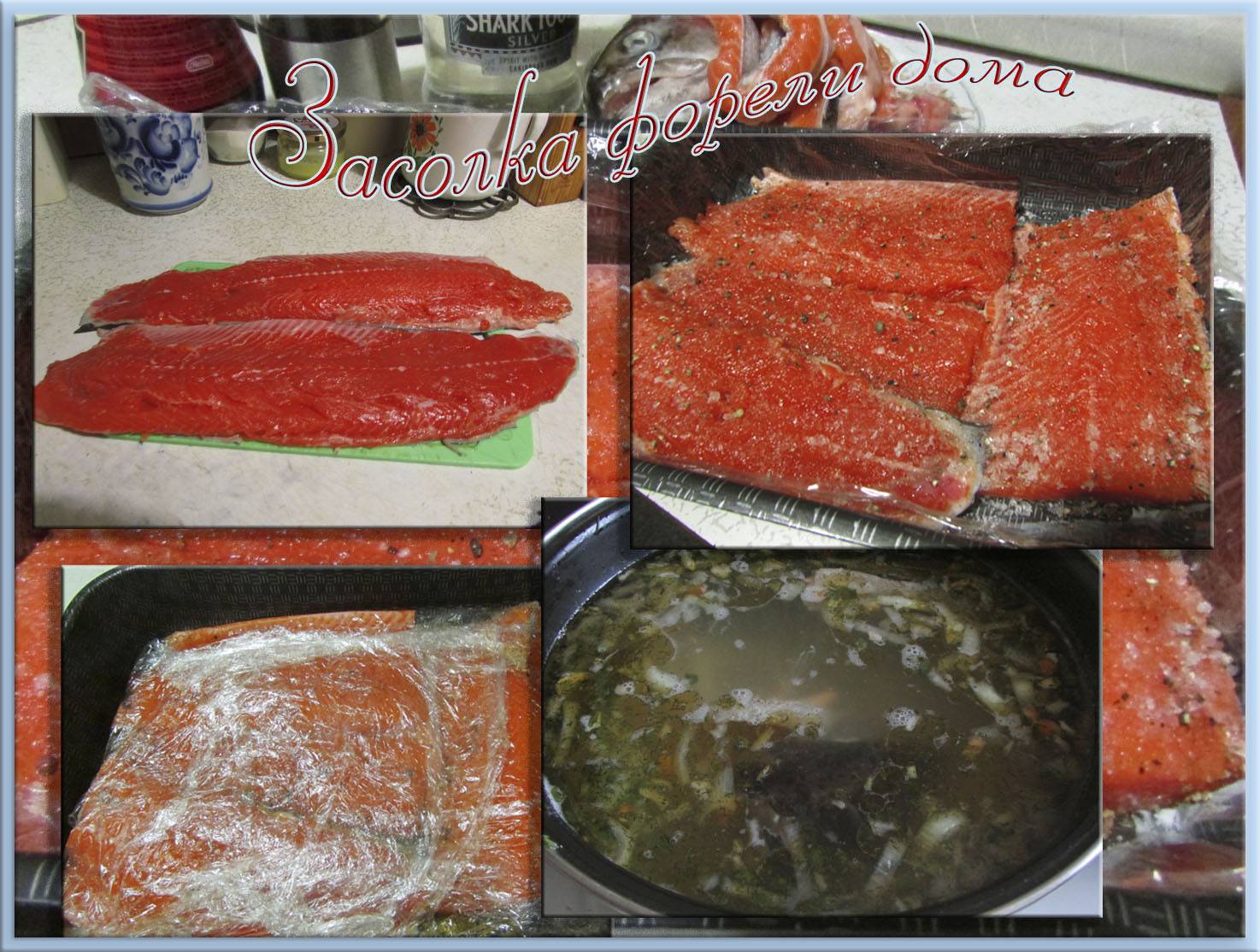 Как дома посолить форель: как правильно выбрать рыбу, как засолить стейки форели, рецепты посола