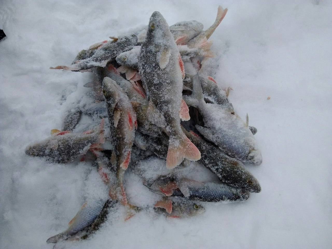 Рыбалка в кировской области: лучшие места на карте топ-6