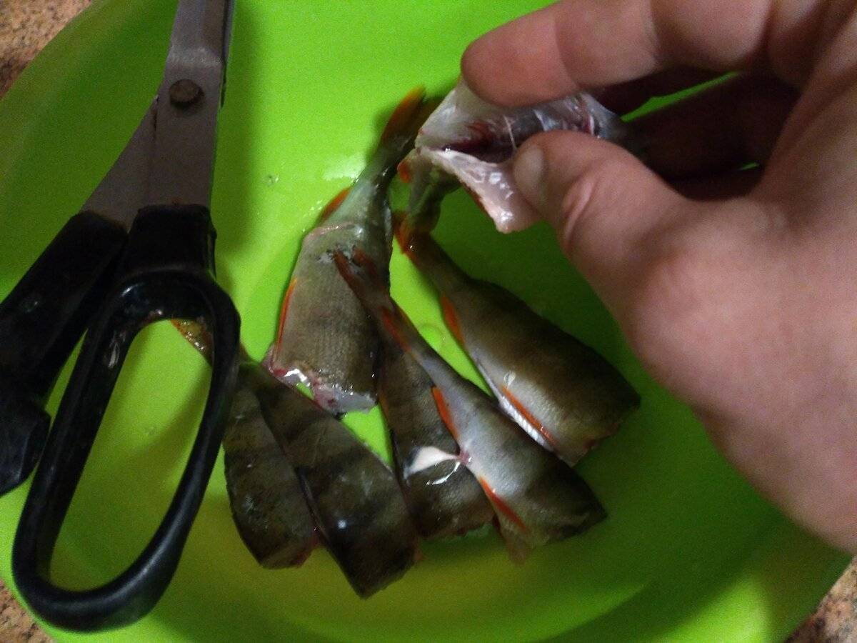 Очистка окуня: как почистить рыбу с помощью кипятка, быстрое удаление чешуи, разделка замороженного продукта