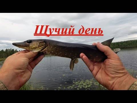 Рыбалка в оренбурге и оренбургской области, особенности ловли в реке урал и местных водохранилищах — разъясняем со всех сторон