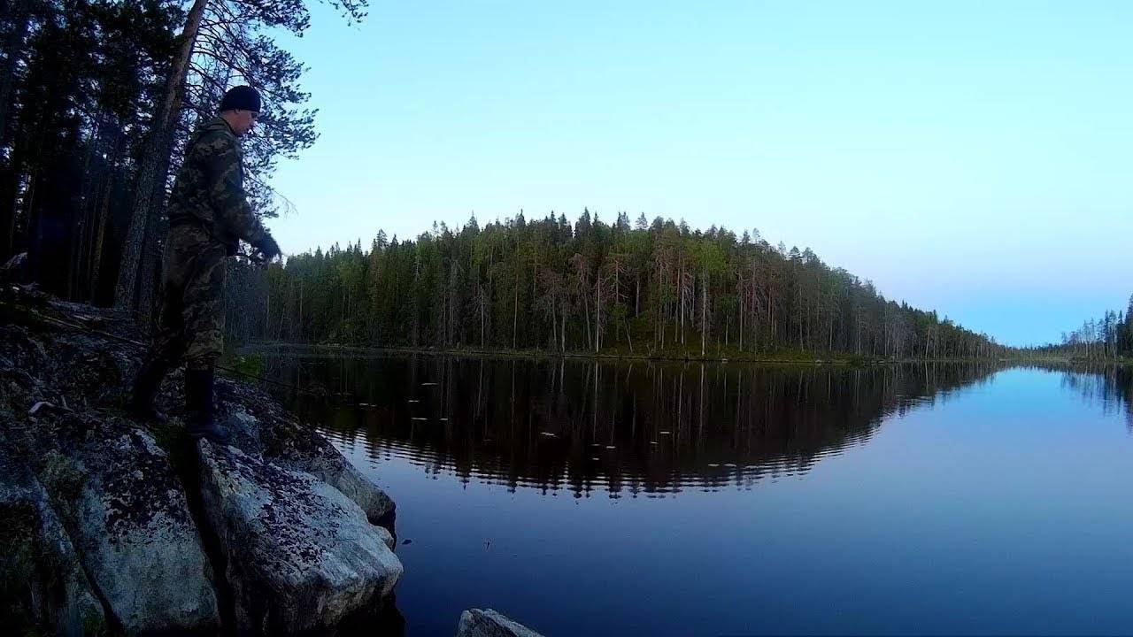 Ловля окуня на озерах простая техника для рыбалки на озере