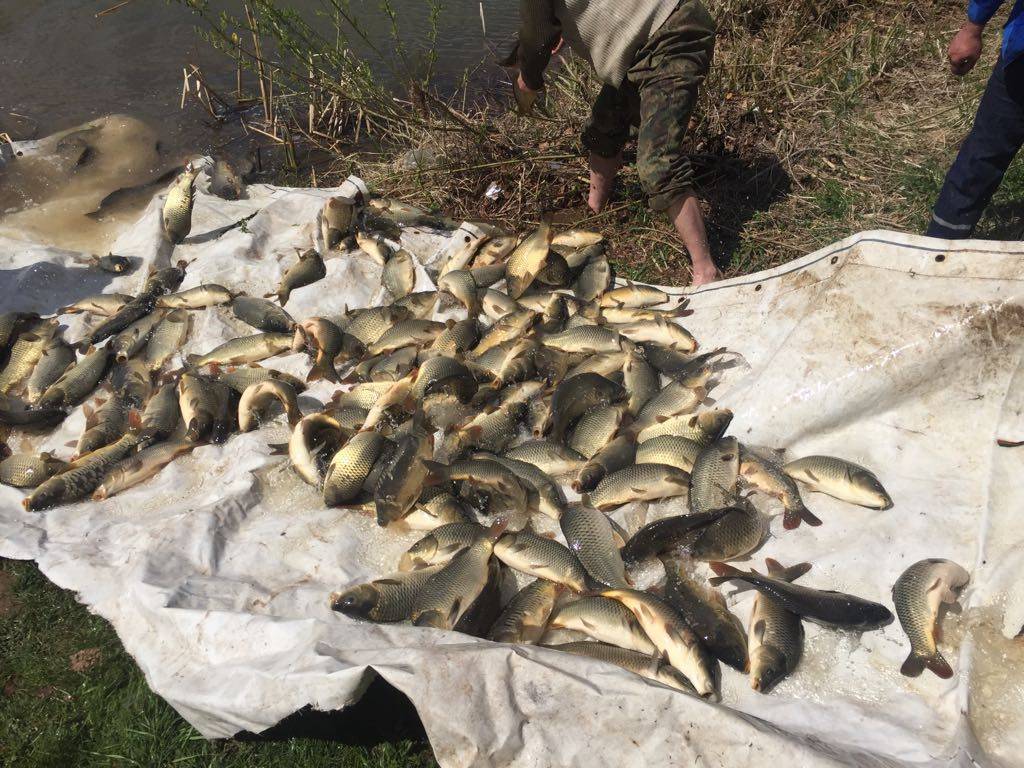 Рыбалка в калужской области бесплатно