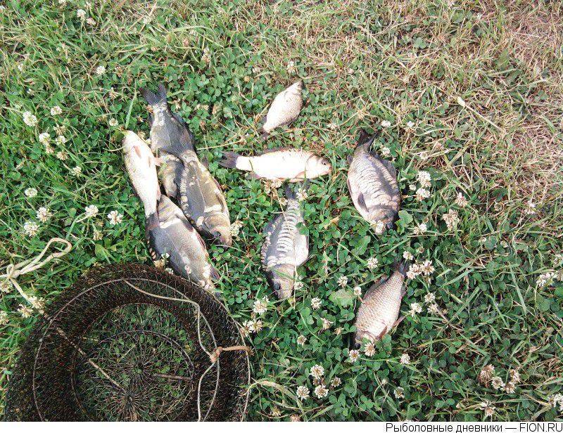 Рыбалка в ставропольском крае — отзывы, лучшие места для ловли в ставрополе