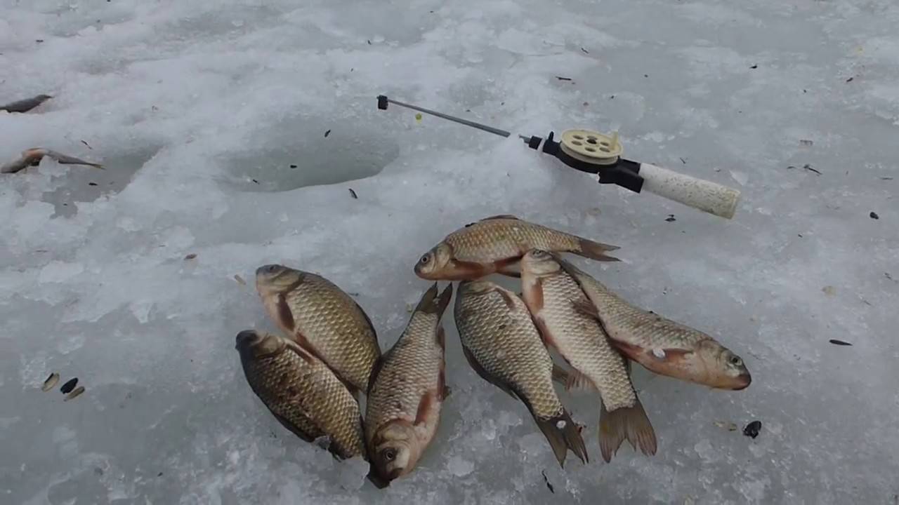 Рыбалка зимой в пермском крае — места и советы