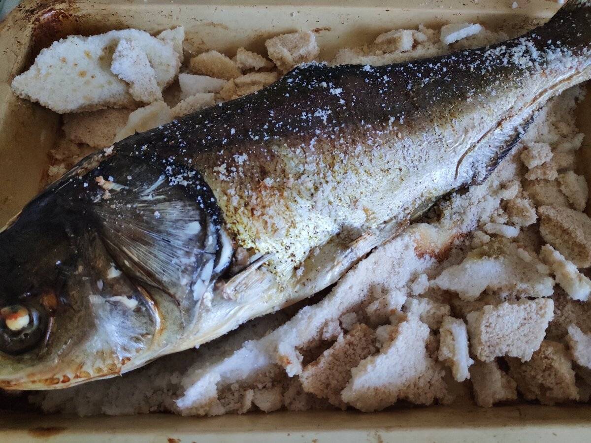 Запеченная в соли рыба — пошаговый рецепт с фото