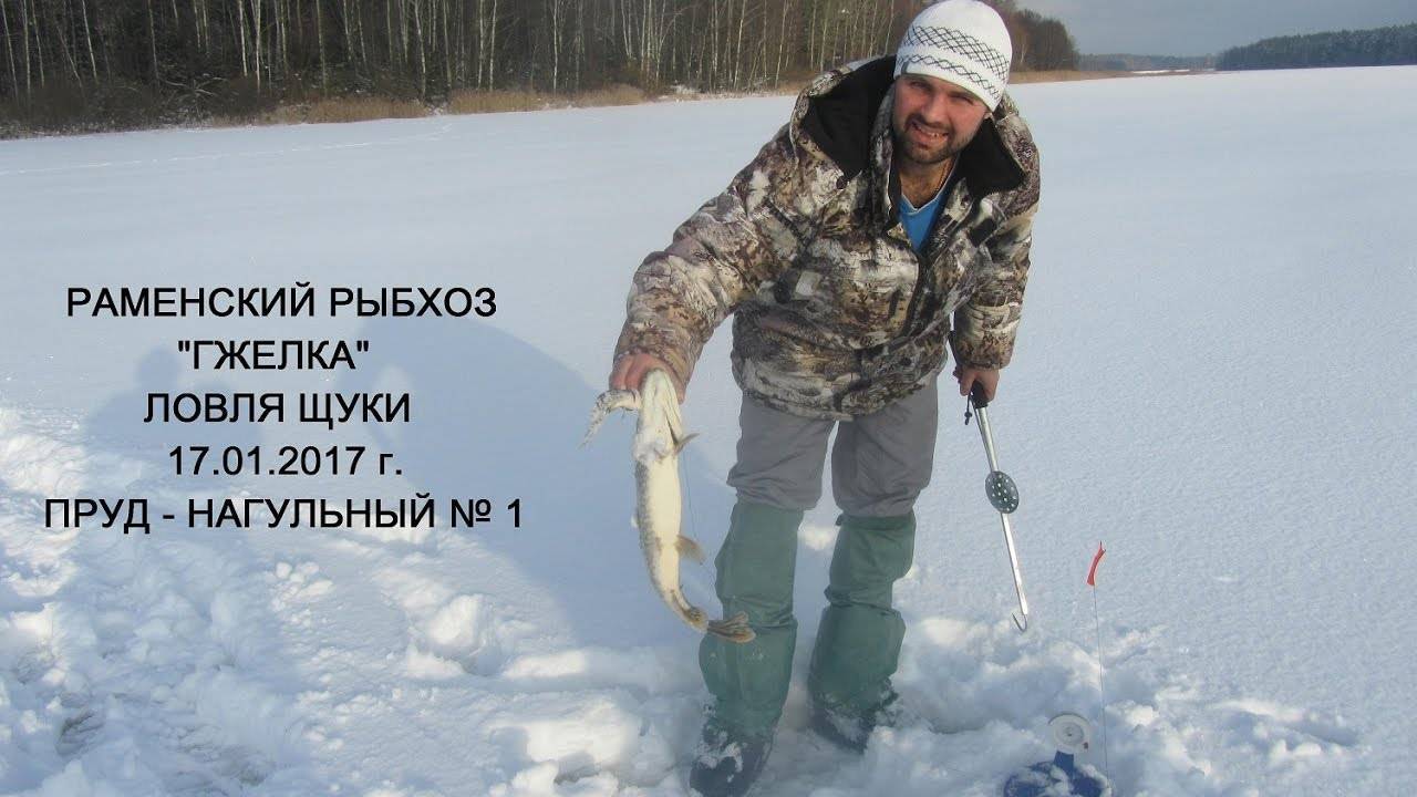 Рыбалка в раменском районе московской области