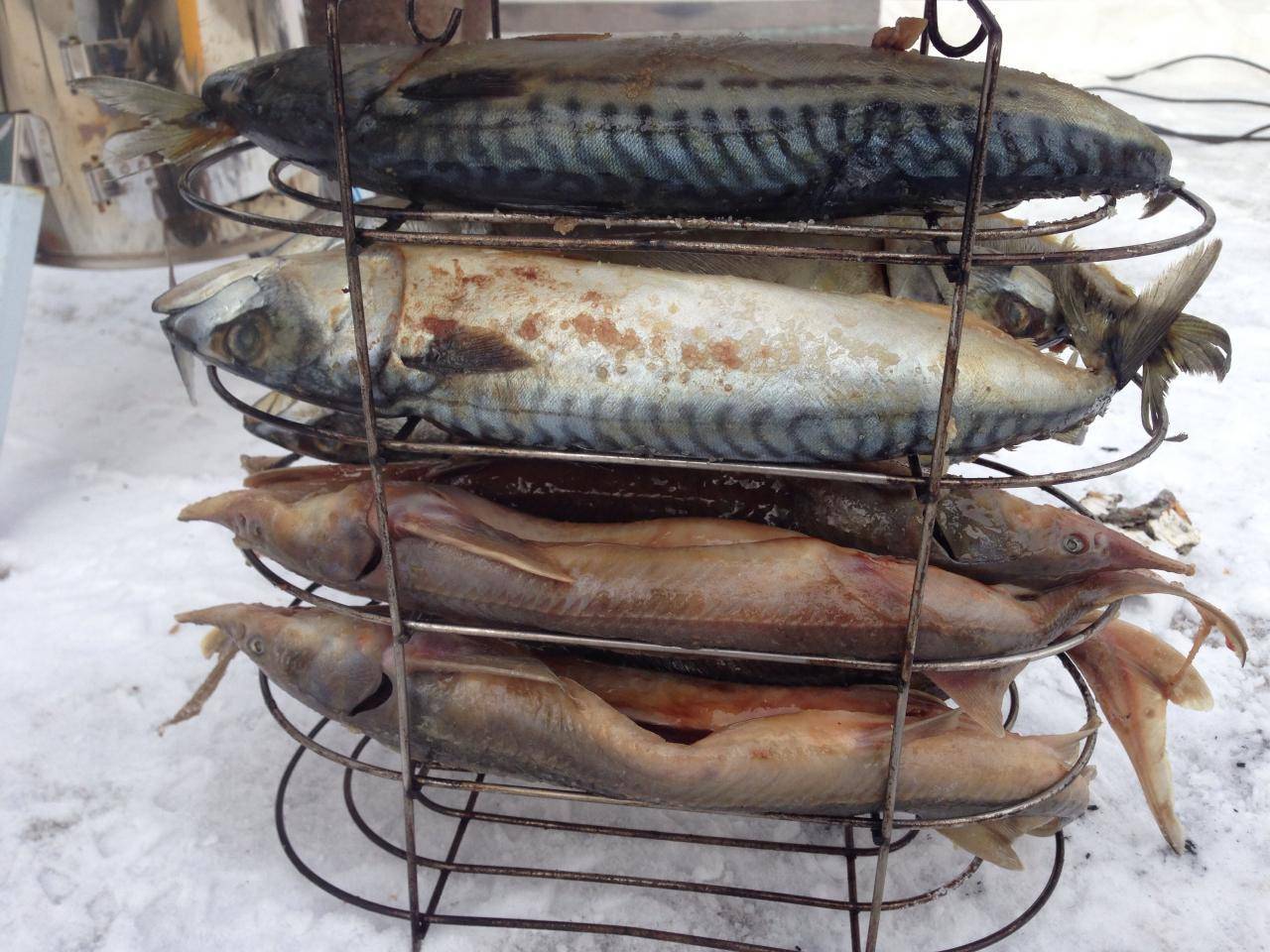 Технология копчения рыбы: пошаговое описание, процесс и способы :: businessman.ru