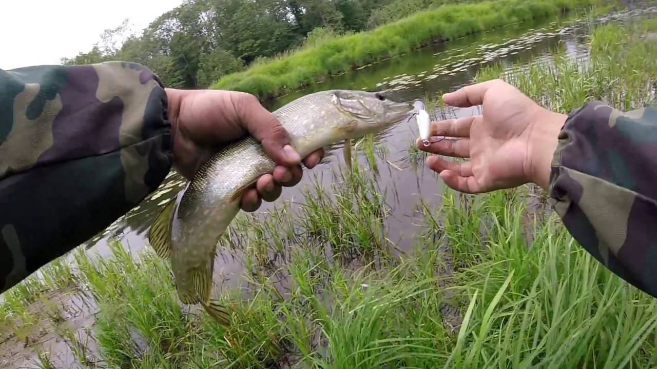 Рыбалка в Твери и Тверской области