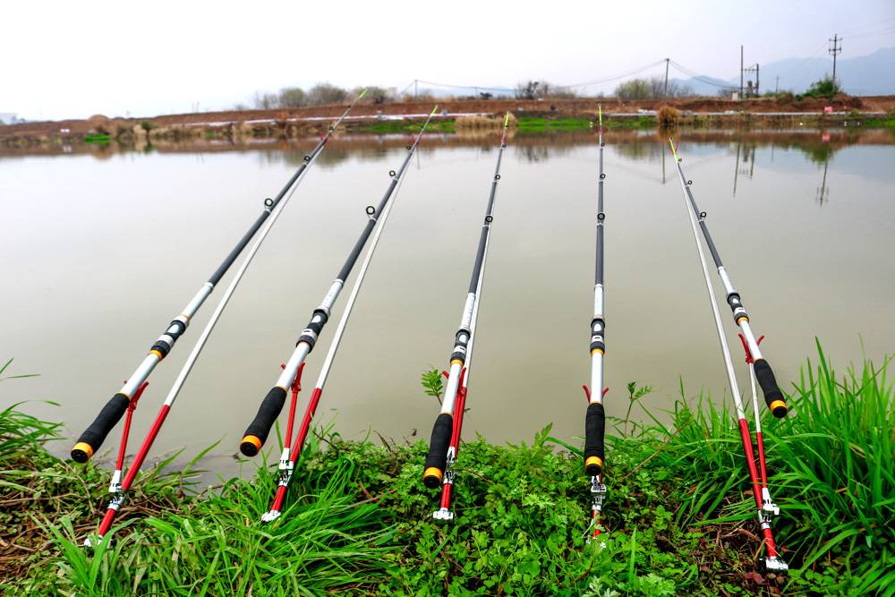 Как выбрать удочку для рыбалки? — подробнейшее руководство - правильно выбрать - все начинается с выбора.