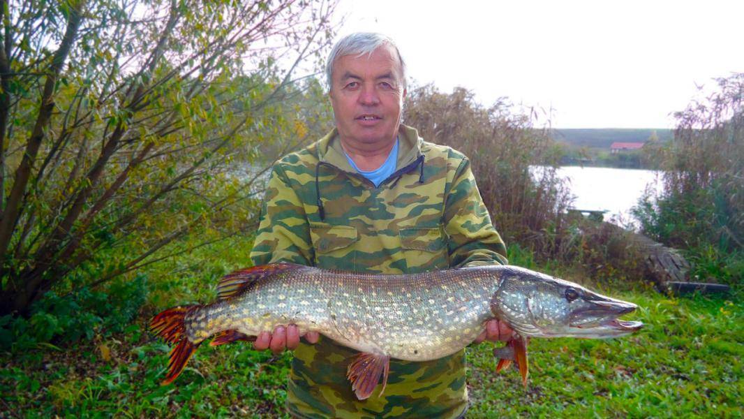 Рыбалка в белгородской области в 2018-2019 году