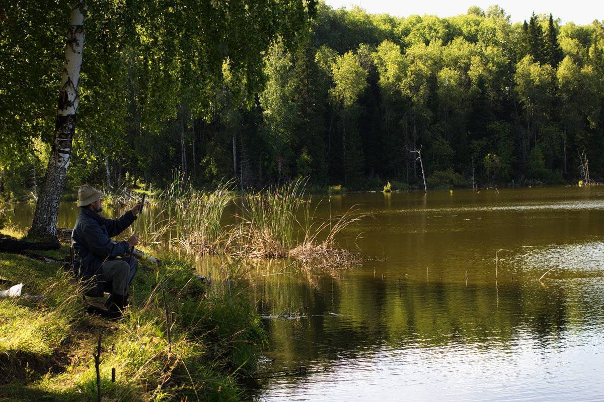 Рыбалка на лесных озерах тайги: видео, лучшие места для ловли