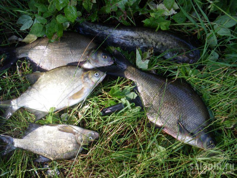 Рыбалка в калужской области 2019 — востребованные места