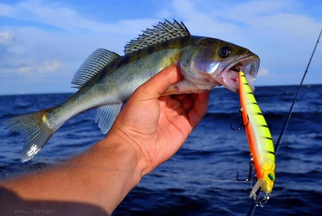 Рыбалка финский залив
