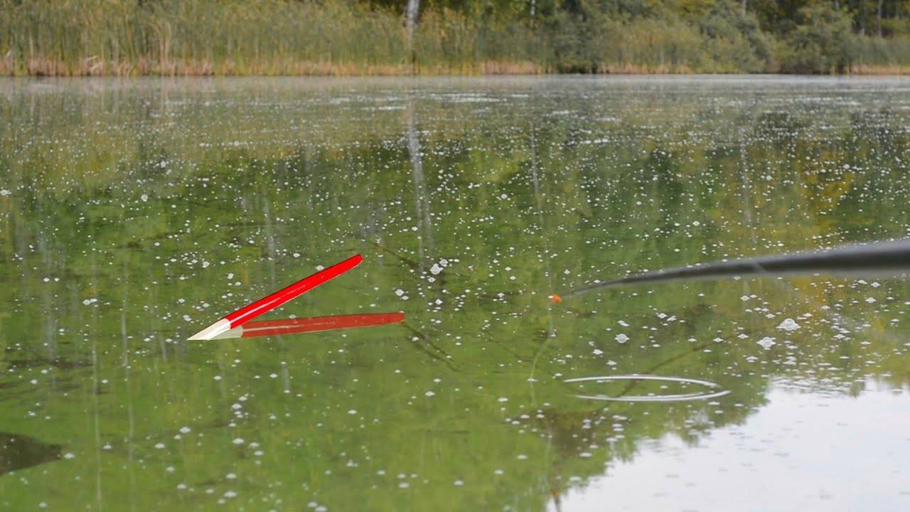 Рыбалка на карася - ловля на поплавочную удочку: правильная оснастка и техника ловли