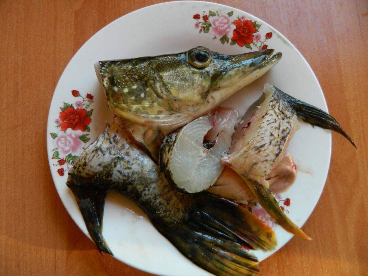 Как вкусно сварить уху из речной и красной рыбы