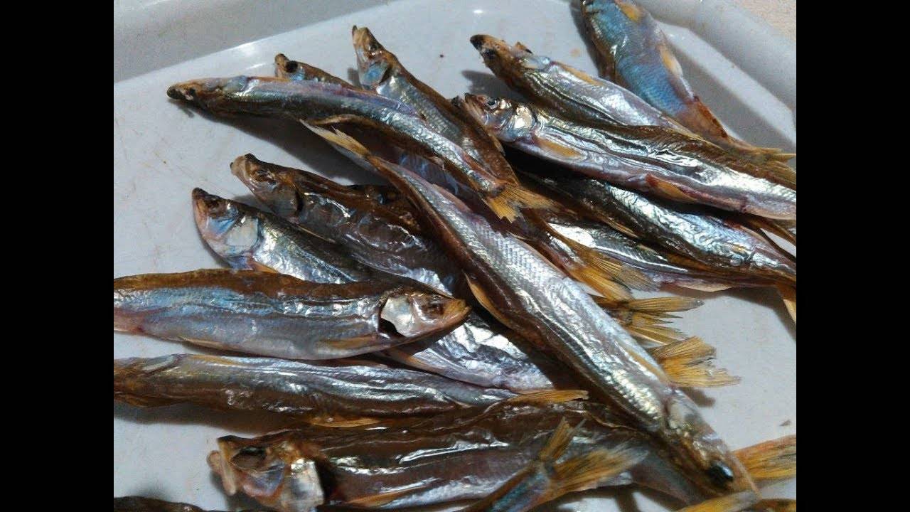 Как сушить корюшку в домашних условиях. вяленая корюшка: рецепты, правила приготовления