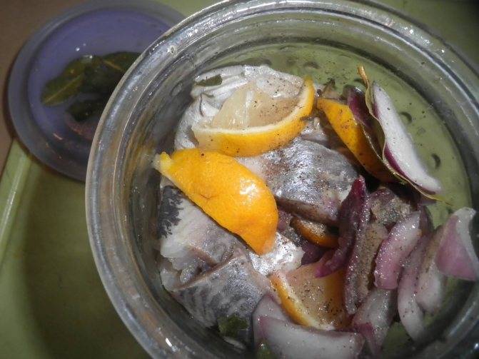 Как засолить рыбу в домашних условиях - 10 фото рецептов + видео