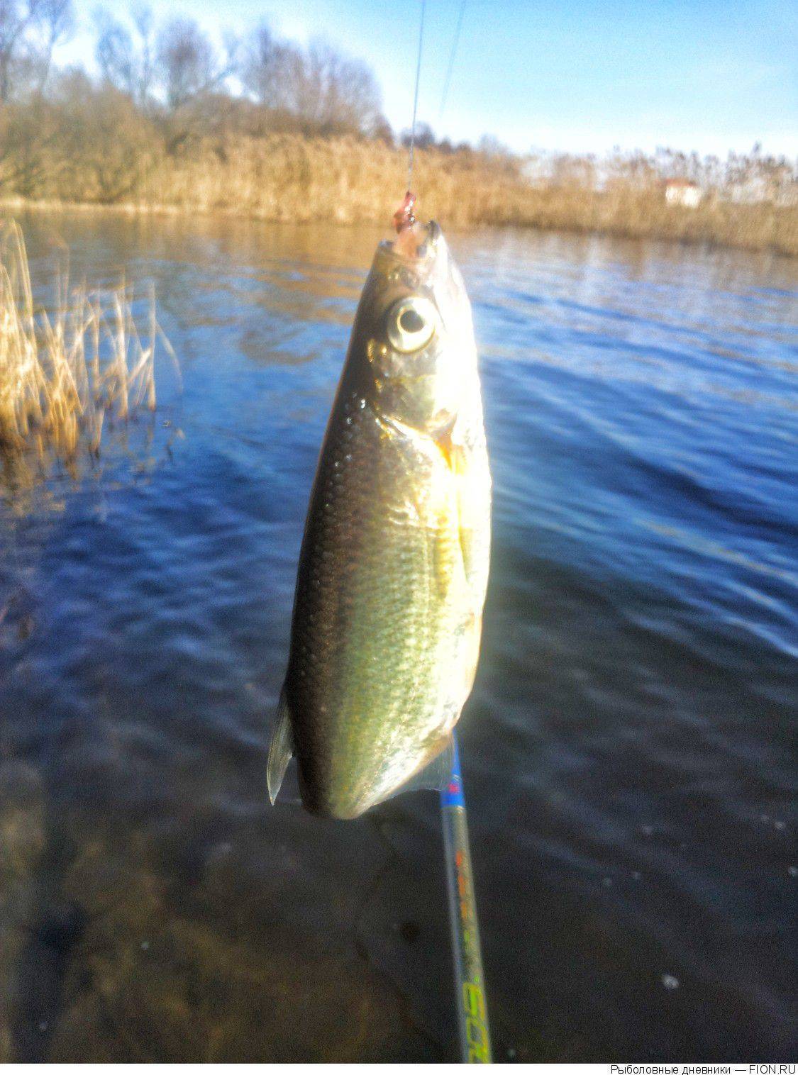 Озеро святое рыбалка - все про рыбалку