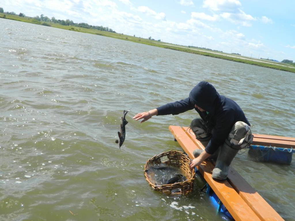 Места рыбалки в чувашии | где найти рыбу в солнечном крае