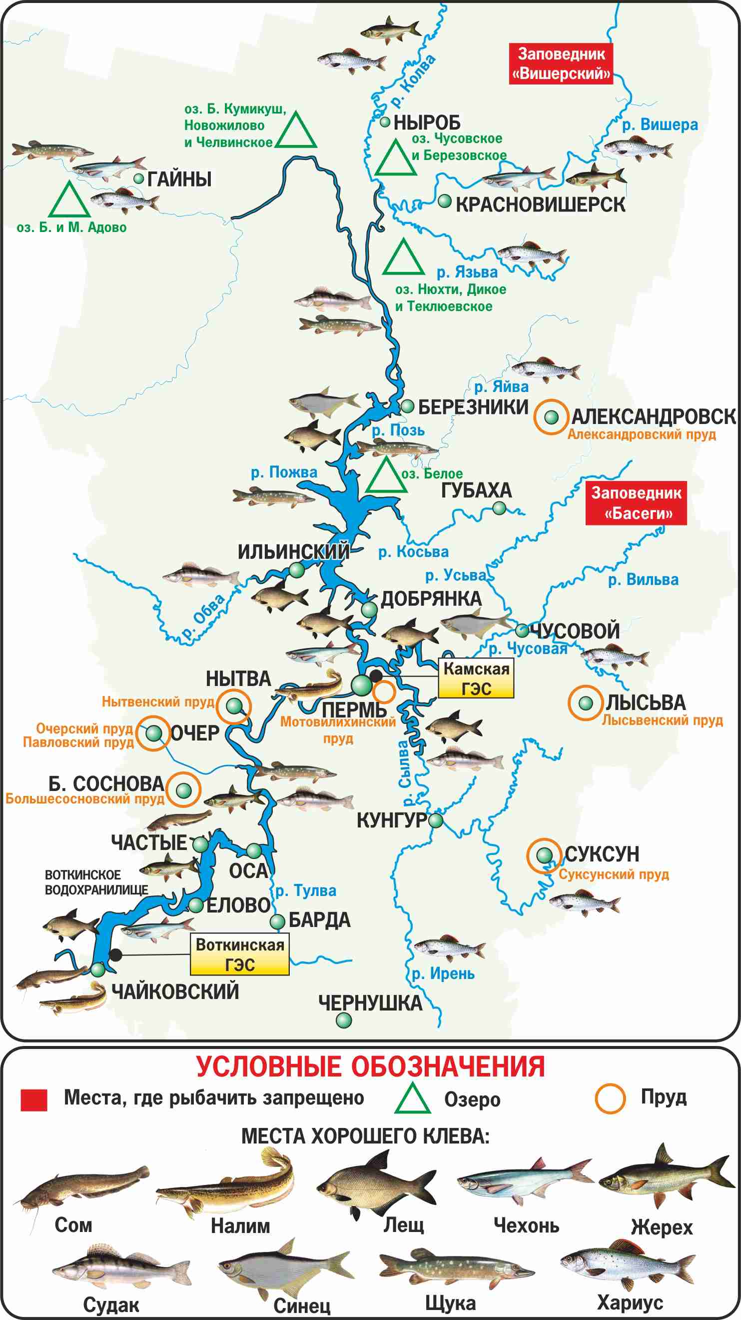 Белоярское водохранилище — карта рыбных мест