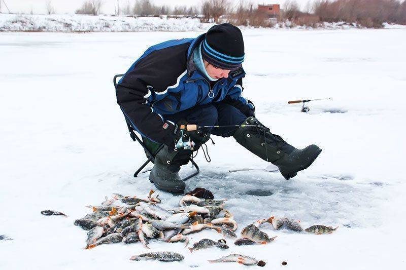 Зимняя рыбалка - все о рыбалке зимой: особенности, снасти, снаряжения, секреты и видео - fishingwiki