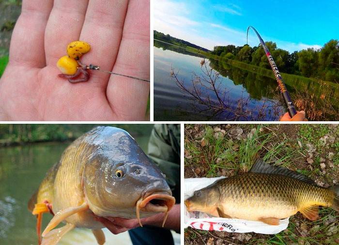 Рыбалка в мае: ловля на открытой воде, советы, способы ловли, наживки, календарь рыболова