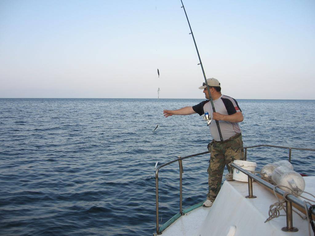 Рыбалка в крыму: на озерах и море. платно и бесплатно. лучшие места