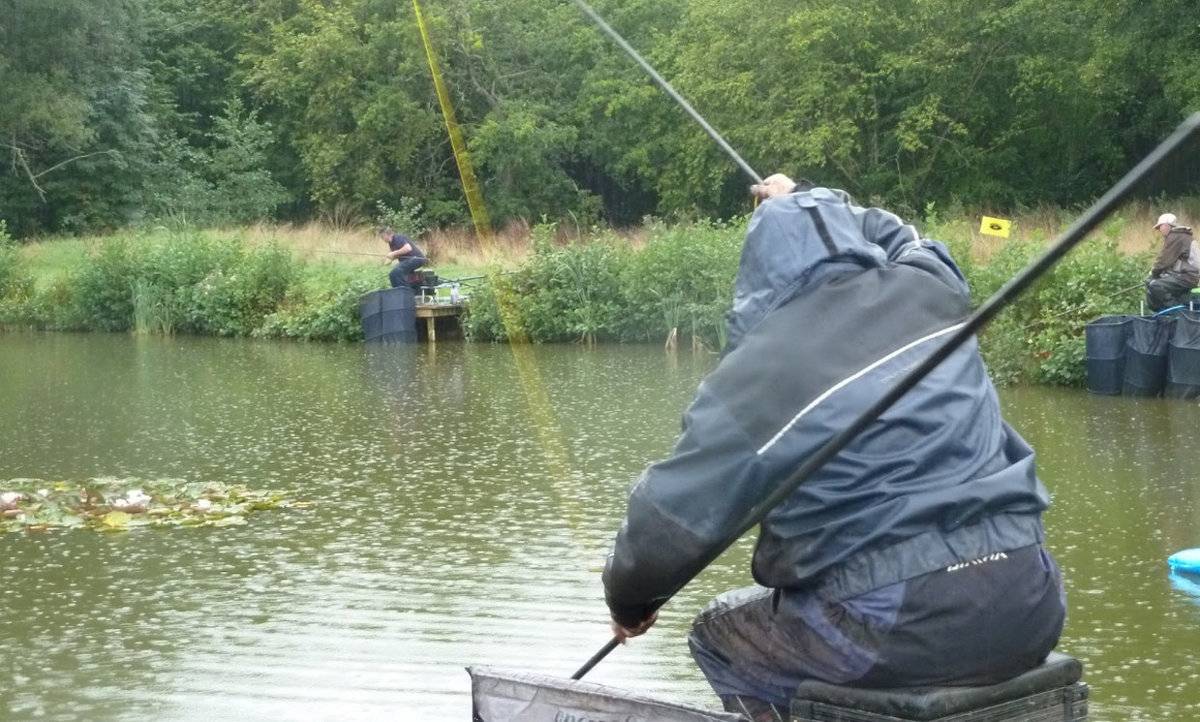 Ловится ли жерех в дождь - все про рыбалку